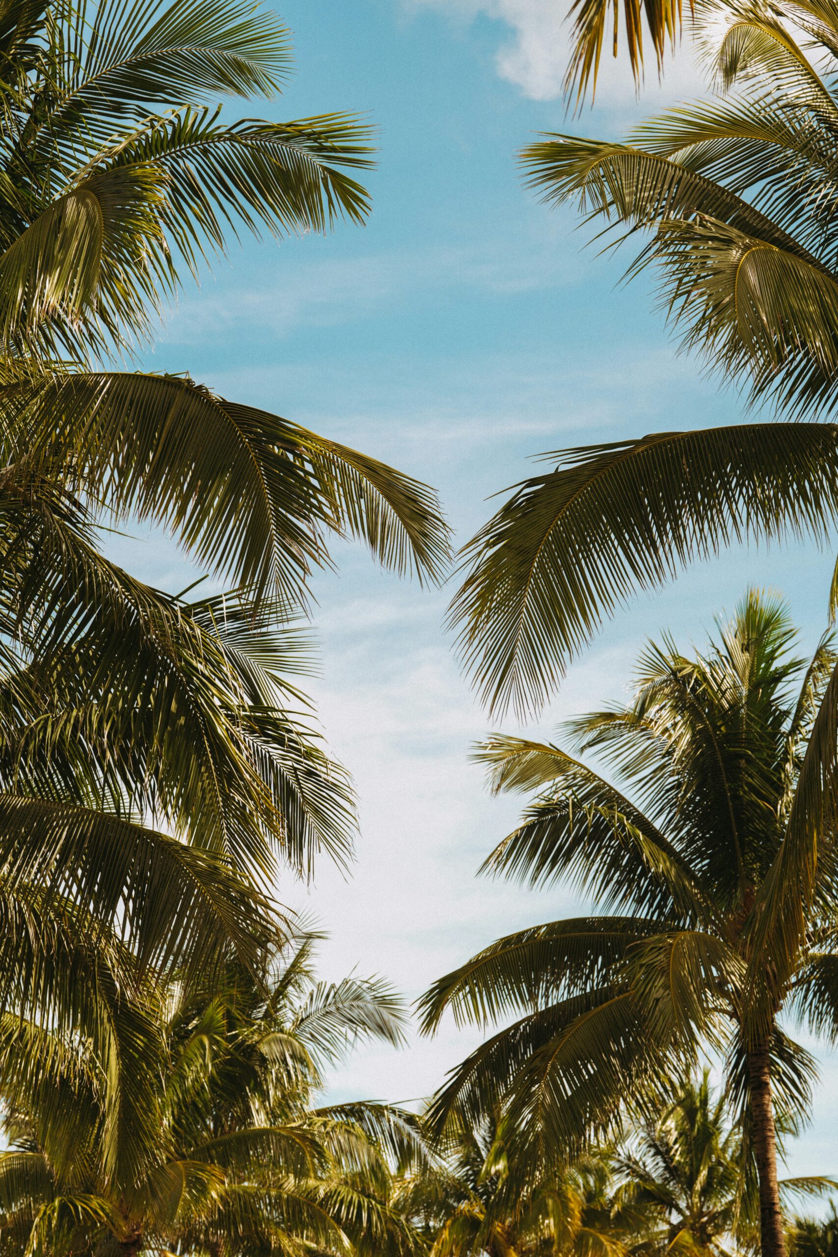 Bahamas
