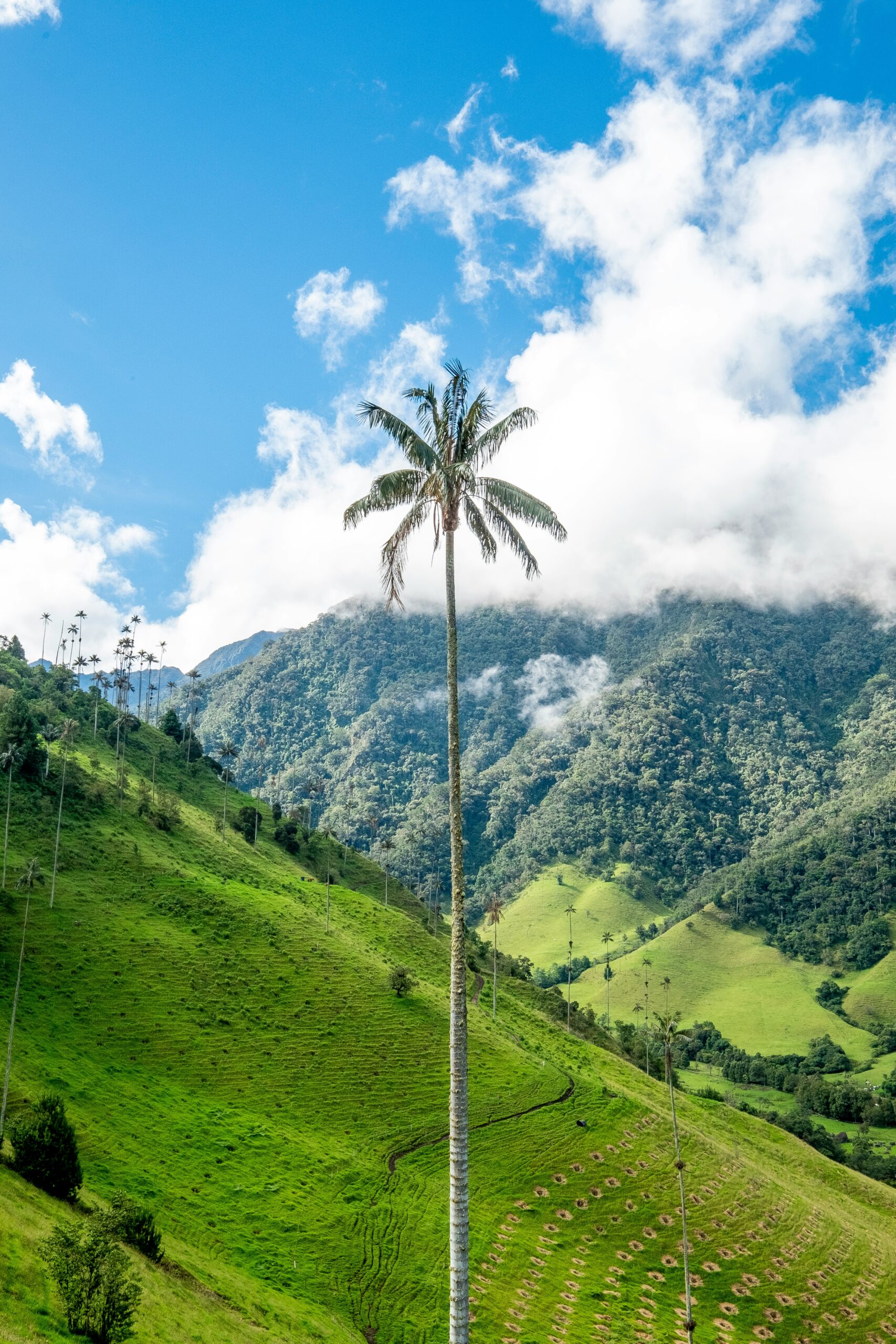 Colombia