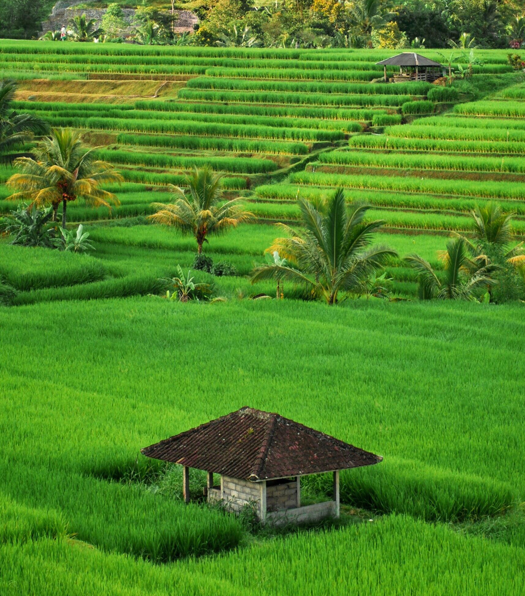 Indonesia