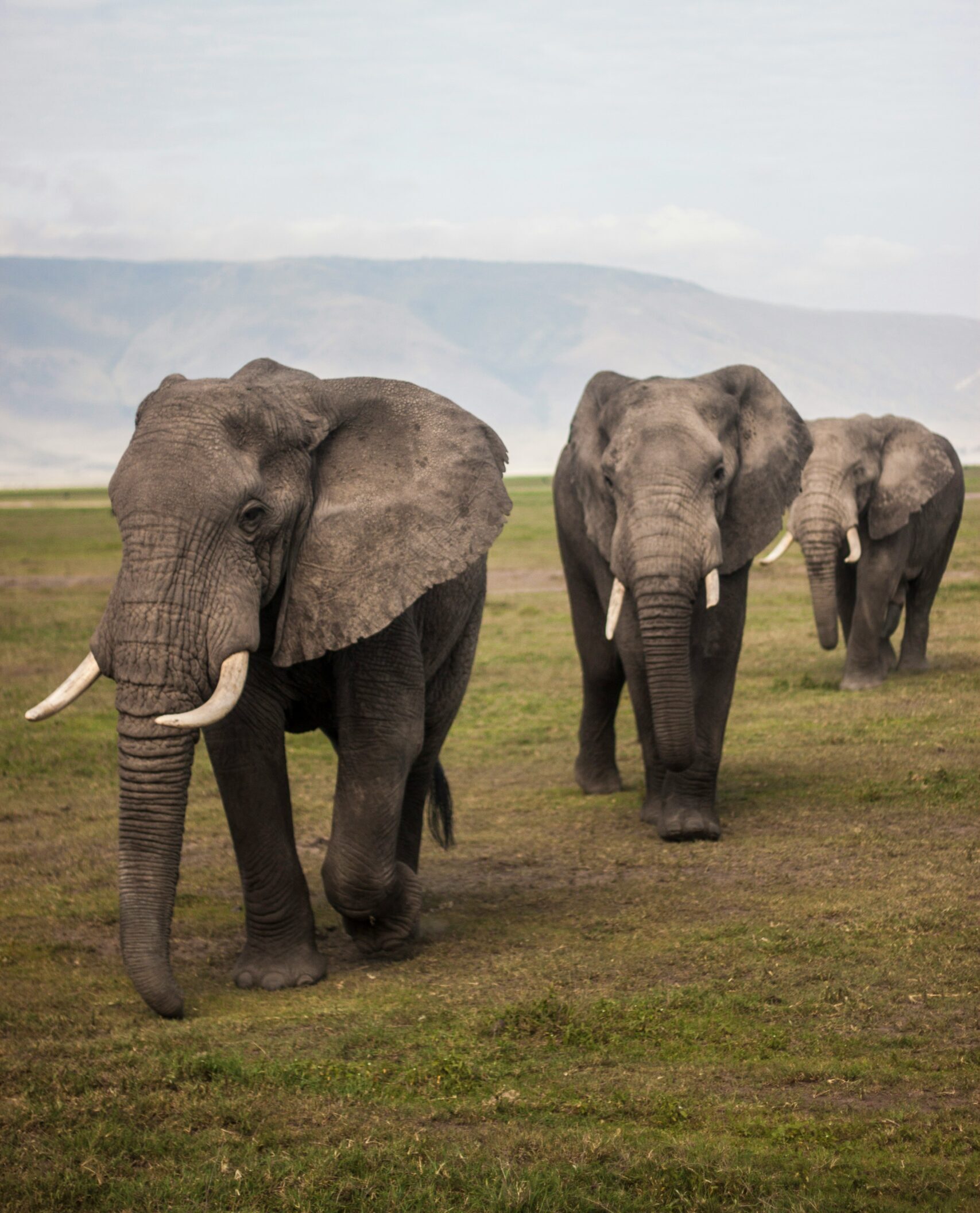 Tanzania