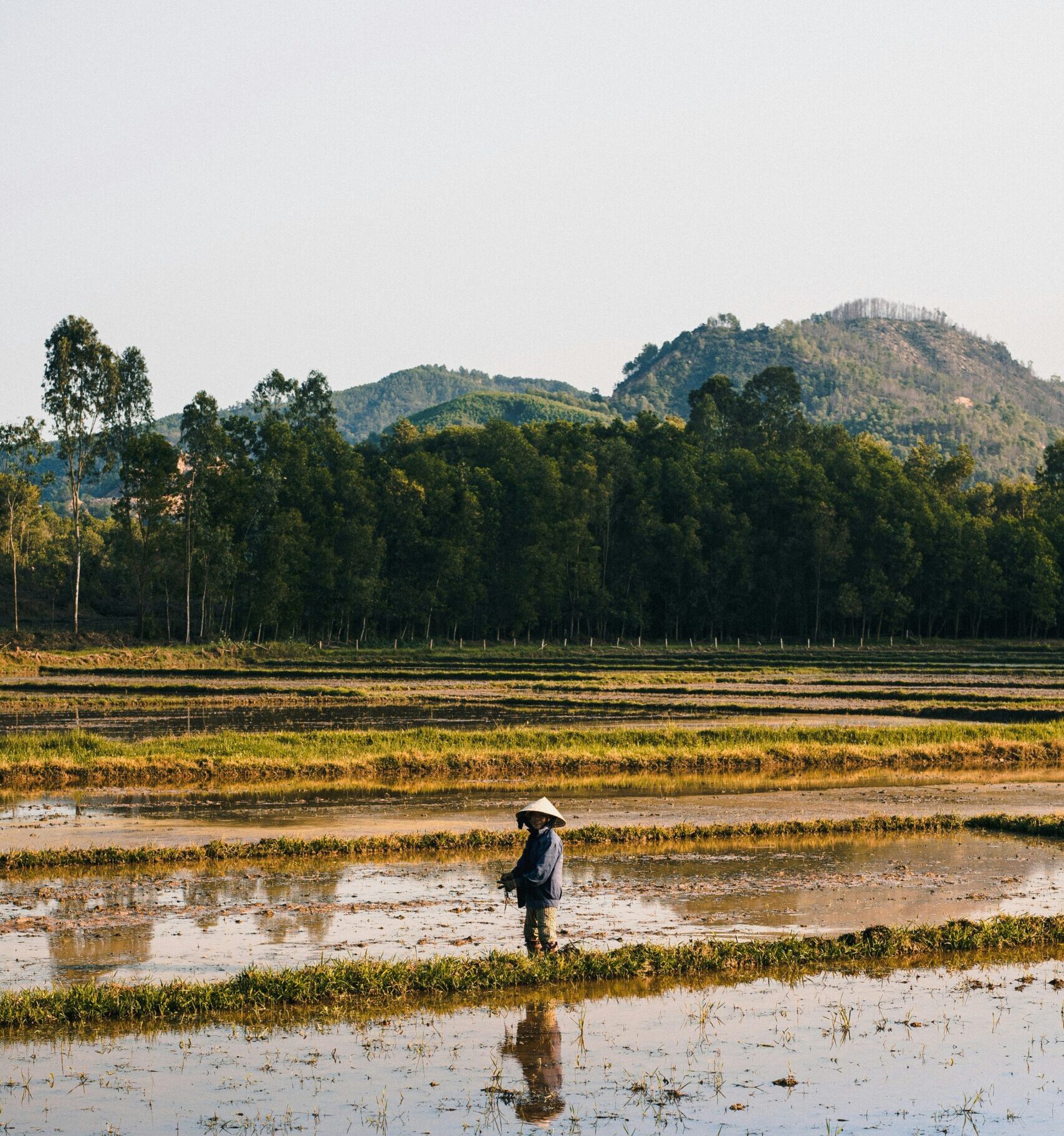 Vietnam